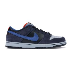 Nike Dunk SB Low Patagonia